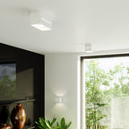 Deckenleuchte - Spot - Strahler LOBO weiß Sollux Lighting