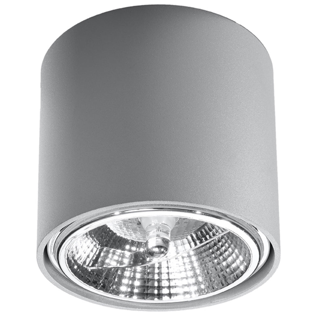 Deckenleuchte - Spot - Strahler TIUBE grau Sollux Lighting