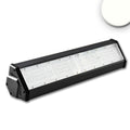 LED Hallenleuchte LN 100W, 30°x70°, IK10, IP65, 1-10V dimmbar, neutralweiß