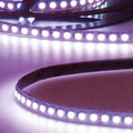 LED RGB Linear10 Flexband, 24V DC, 12W, IP20, 5m Rolle, 120 LED/m