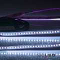 LED CRI Food Flexband Fish, 24V DC, 14,4W, IP20, 5m Rolle, 140 LED/m