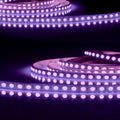 LED AQUA RGB+WW Flexband, 24V DC, 19W, IP68, 4in1 Chip, 5m Rolle, 96 LED/m