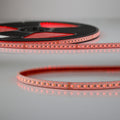 LED AQUA RGB+WW Flexband, 48V DC, 19W, IP68, 4in1 Chip, 20m Rolle, 96 LED/m