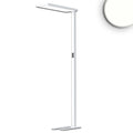 LED Office Pro Stehleuchte Up&Down, 80W+20W, silber, UGR<19, neutralweiß, Touch-Dimm