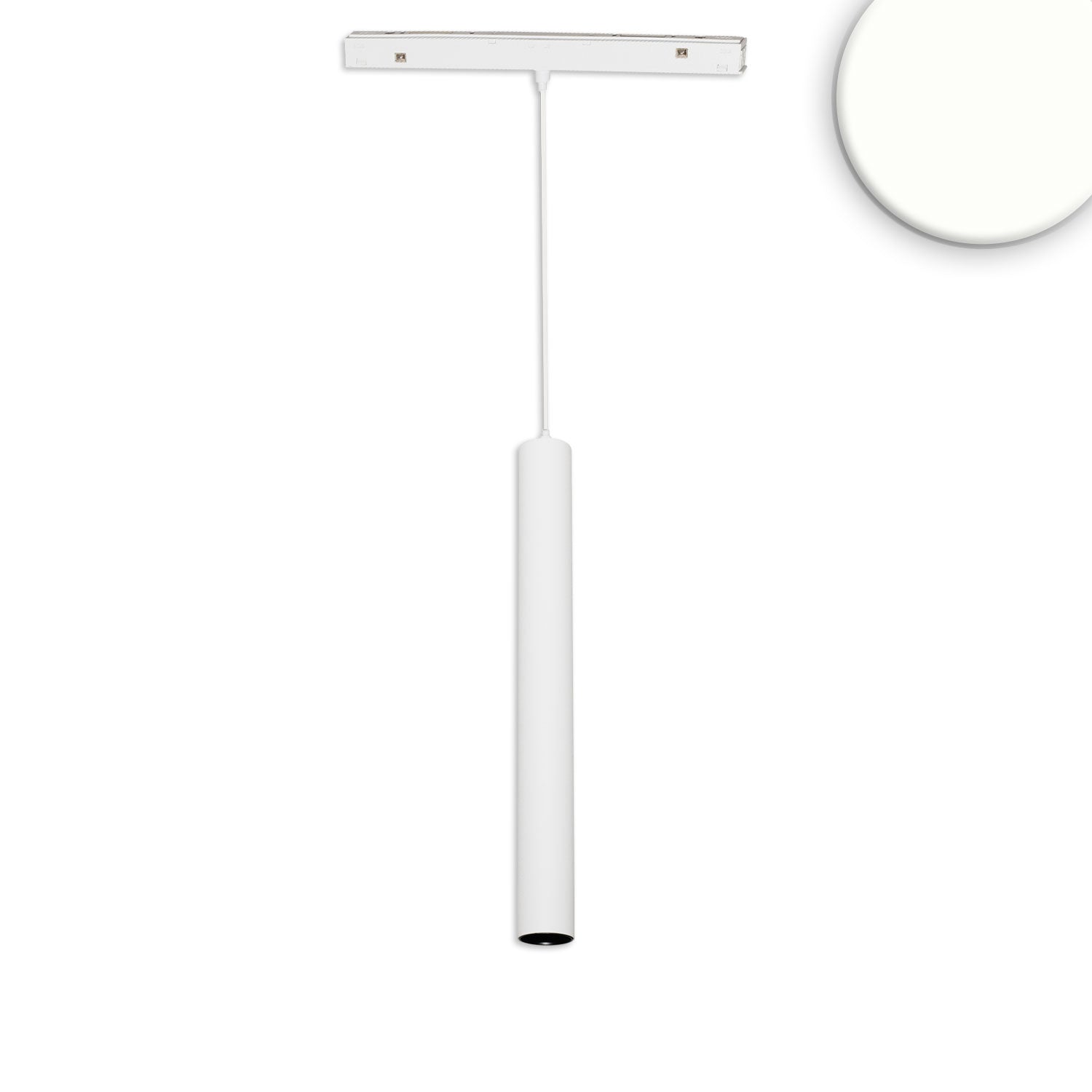 Track48 Hängeleuchte Pipe weiß, 7W, 36°, UGR<19, 48V DC, 4000K, CRI90, DALI dimmbar