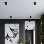 Deckenleuchte - Spot - Strahlerd ZOE schwarz LED Sollux Lighting