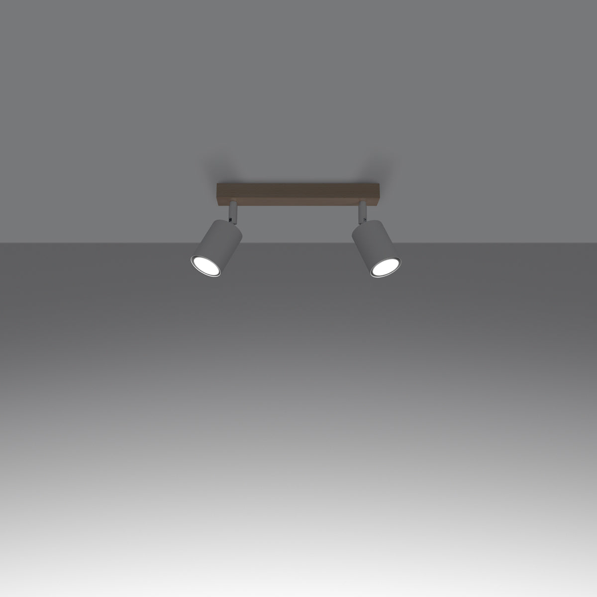 Deckenleuchte - Spot - Strahler VERDO 2 weiß Sollux Lighting