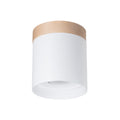 Deckenleuchte - Spot - Strahler RIF Weiß Sollux Lighting