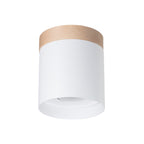 Deckenleuchte - Spot - Strahler RIF Weiß Sollux Lighting
