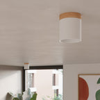 Deckenleuchte - Spot - Strahler RIF Weiß Sollux Lighting