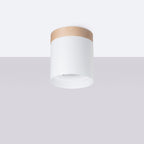 Deckenleuchte - Spot - Strahler RIF Weiß Sollux Lighting