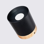 Deckenleuchte - Spot - Strahler RIF Schwarz Sollux Lighting
