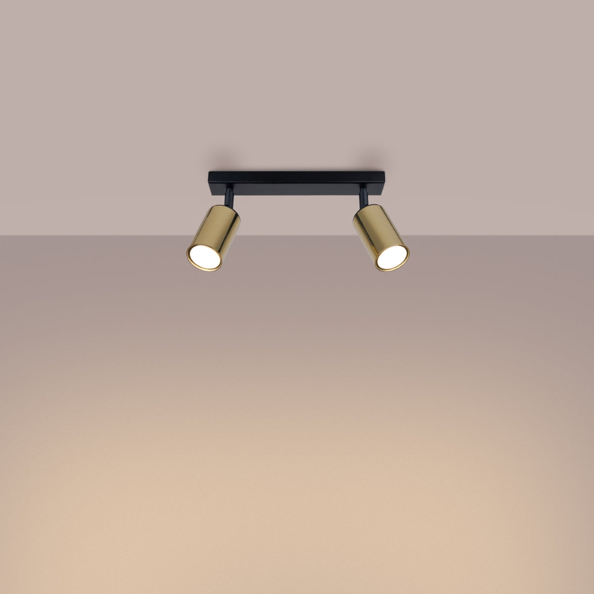 Deckenleuchte - Spot - Strahler WINX 2 schwarz & gold Sollux Lighting