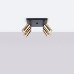 Deckenleuchte - Spot - Strahler WINX 4 schwarz & gold Sollux Lighting