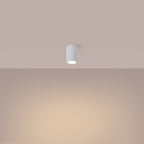 Deckenleuchte - Spot - Strahler KARBON 10 weiß Sollux Lighting