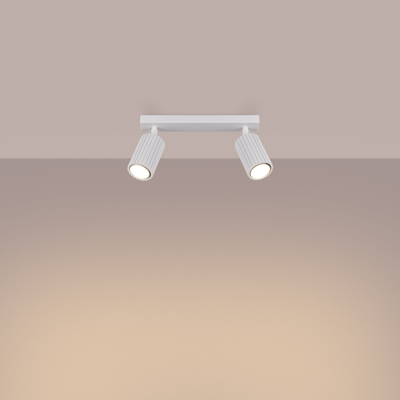 Deckenleuchte - Spot - Strahler KARBON 2 weiß Sollux Lighting