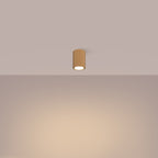 Deckenleuchte - Spot - Strahler KARBON 10 golden Sollux Lighting