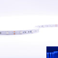 Strip 12V LED Streifen 5M 7,2W/m 30LED/m 10mm - Lichtfarbe: Blau - Schutzart: IP20