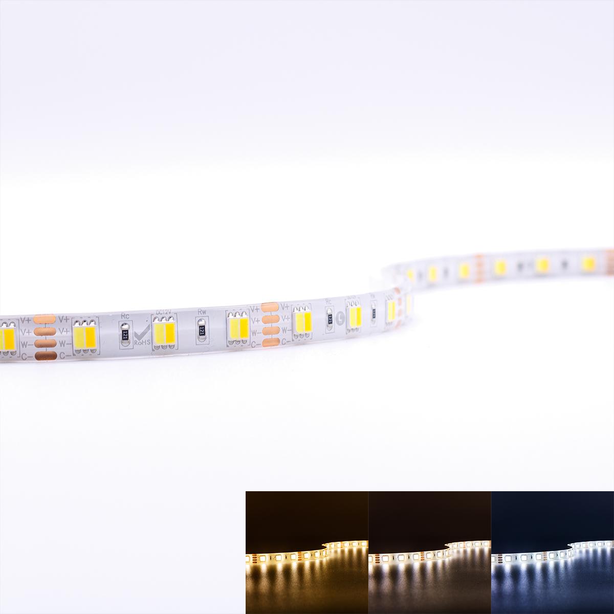 Strip 12V 5M 14,4W/m 60LED/m 10mm - Lichtfarbe: CCT 2700-6500K - Schutzart: IP65