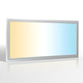 LED Panel 60x30cm 24W Rahmen silbern - Lichtfarbe: CCT 3000K-6000K