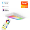 RGB+CCT LED Panel 60x30cm inkl. MiBoxer Smarthomesteuerung 24W 24V Rahmen weiß - Panelmontage: Aufbaurahmen Click weiß