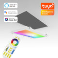 RGB+CCT LED Panel 60x30cm inkl. MiBoxer Smarthomesteuerung 24W 24V Rahmen weiß - Panelmontage: Einbaurahmen weiß