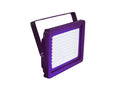 EUROLITE LED IP FL-100 SMD UV