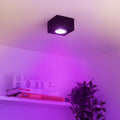 Flacher Aufbaustrahler eckig IP44 Deckenleuchte - Farbe: schwarz - LED Leuchtmittel: 5W RGB+CCT Smart 230V 120°