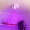 Flacher Aufbaustrahler eckig IP44 Deckenleuchte - Farbe: weiß - LED Leuchtmittel: 5W RGB+CCT Smart 230V 120°