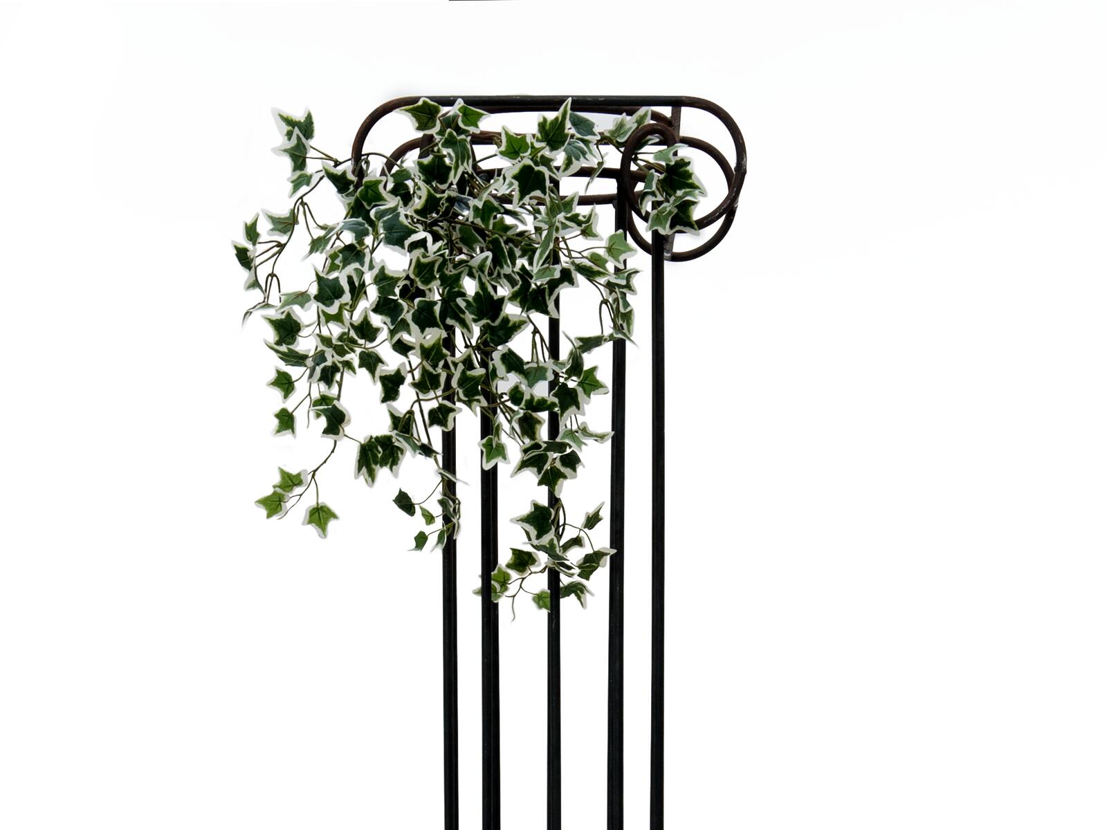 EUROPALMS Holland-Efeubuschranke Classic, künstlich, 60cm