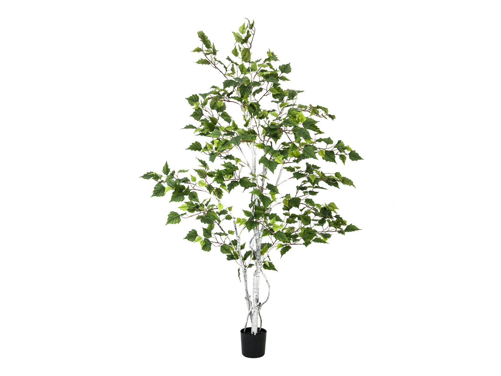 EUROPALMS Birkenbaum, Kunstpflanze, 150cm