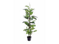 EUROPALMS Dieffenbachia, künstlich, 120cm