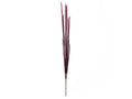 EUROPALMS Magic Zwiebelrohr, künstlich, rosa, 134cm