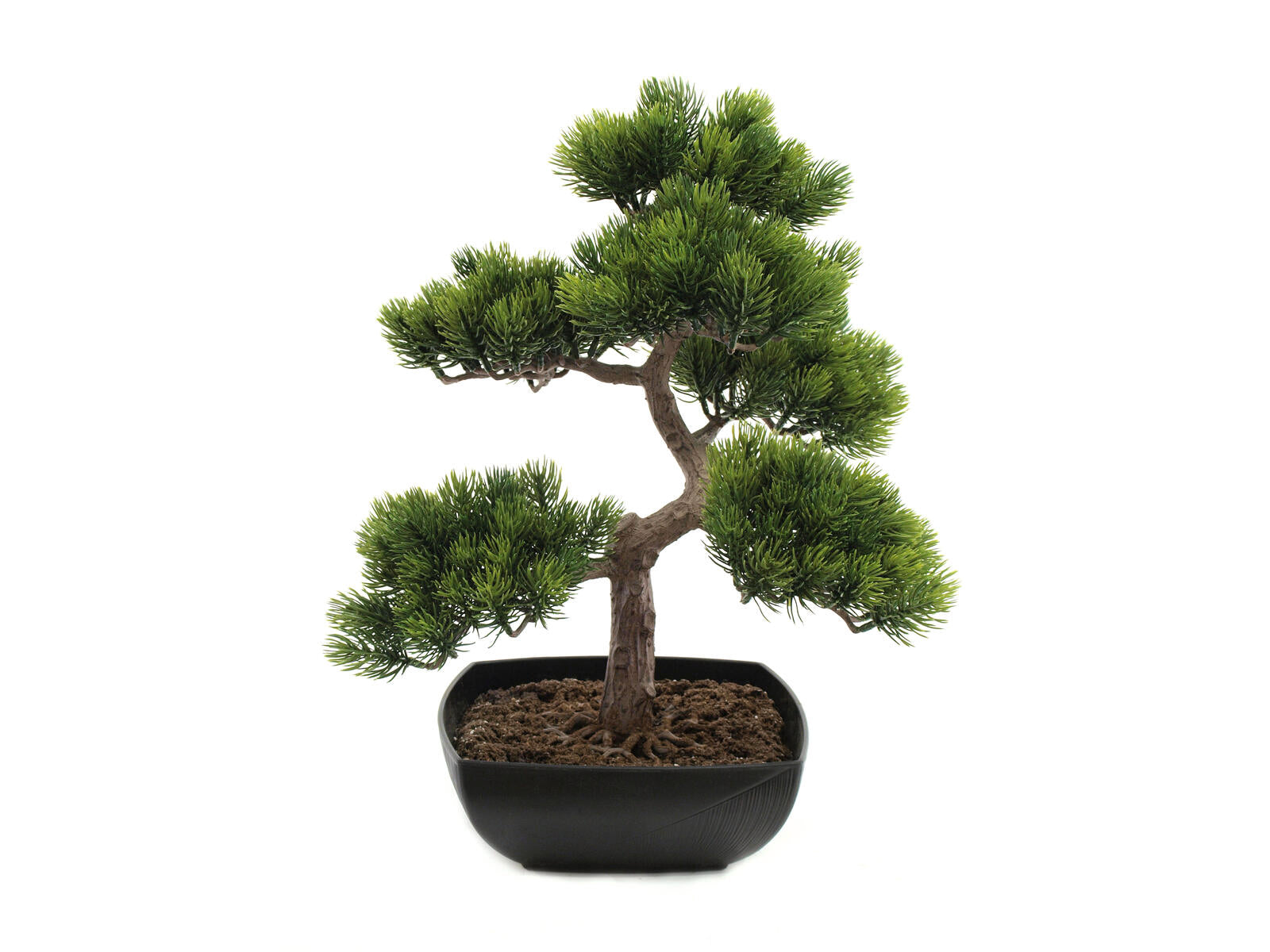 EUROPALMS Bonsai-Pinie, Kunstpflanze, 50cm