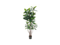 EUROPALMS Gummibaum, Kunstpflanze,150cm