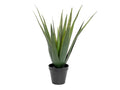 EUROPALMS Aloe-Vera Pflanze, Kunstpflanze, 60cm