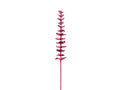 EUROPALMS Kristalleukalyptus, Kunstpflanze, burgund, 81cm 12x