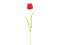 EUROPALMS Kristalltulpe, Kunstblume, rot, 61cm 12x