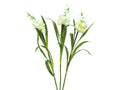 EUROPALMS Aronstab, 3er Set mit LEDs, weiß, 85cm