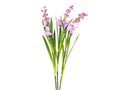 EUROPALMS Aronstab 3er Set mit LEDs, pink, 85cm