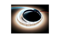 LED-Stripe, 3000lm/m, 240LEDs/m, 18W/m, 6500K, IP20, 5m Rolle