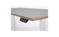 Schreibtisch imstande, business-w + Platte 120x60cm Ash