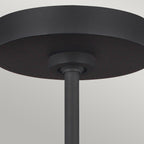 Pendelleuchte Asher (schwarz) 5x - Elstead Lighting