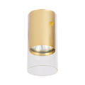 Leuchte Ricky Downlight Gold (1x GU10) - Milagro
