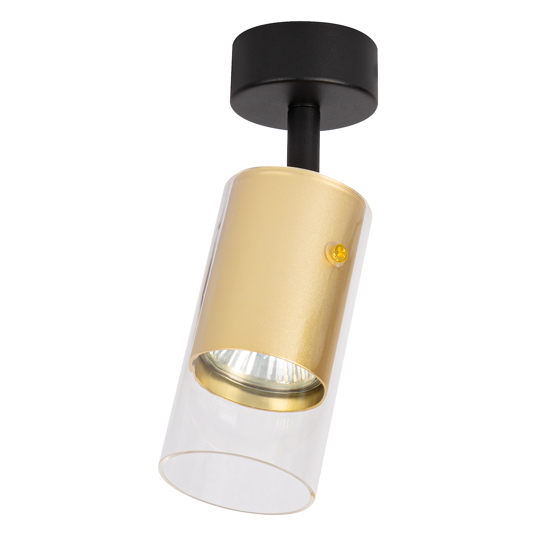 Decken Spot / Strahler RICKY Gold (1x GU10) - Milagro