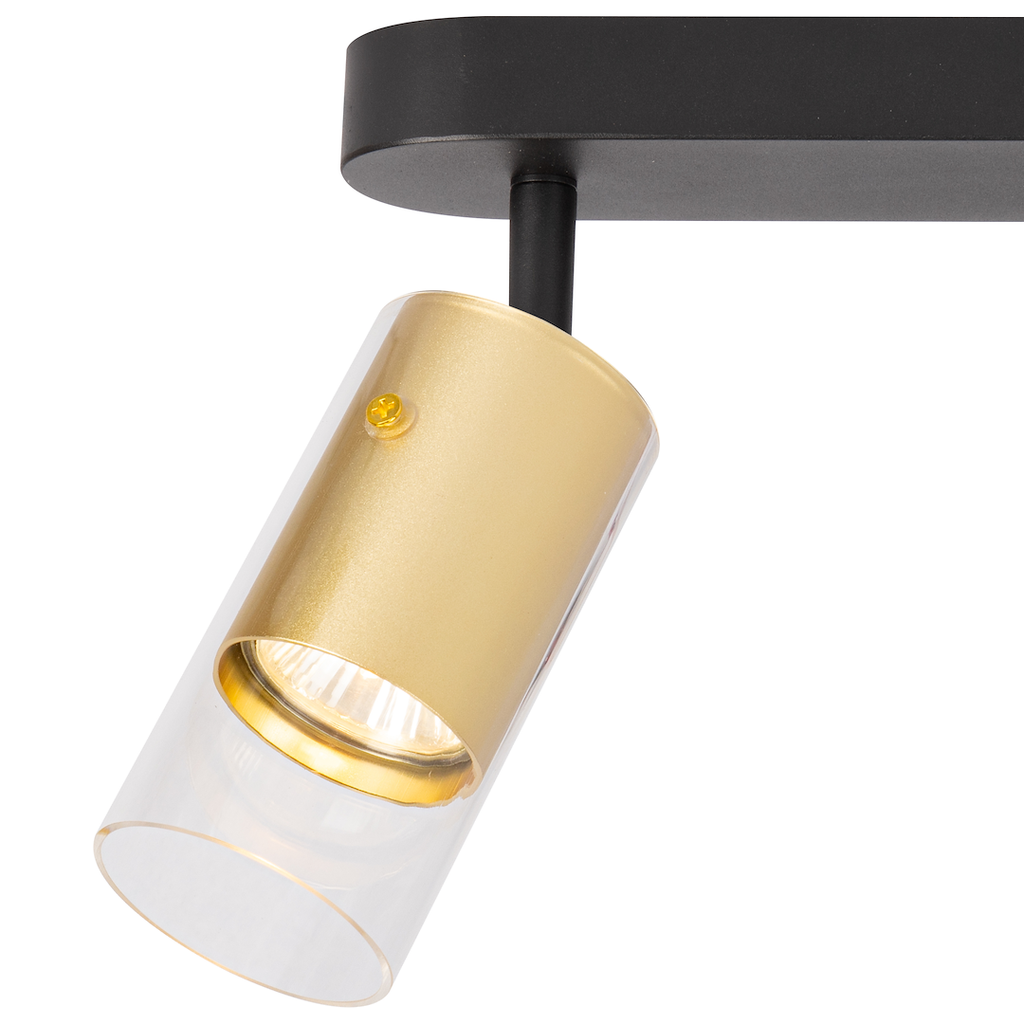 Decken Spot / Strahler RICKY Gold (2x GU10) - Milagro