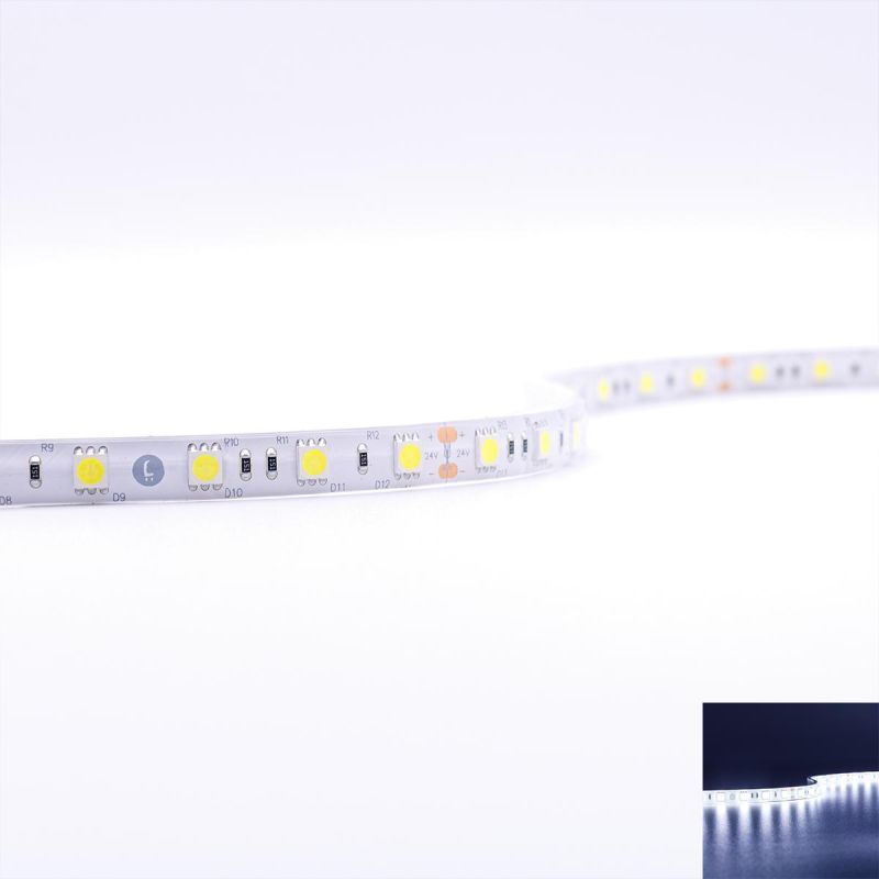 Strip Kaltweiß 24V 5M 14,4W/m 60LED/m IP65 6000K