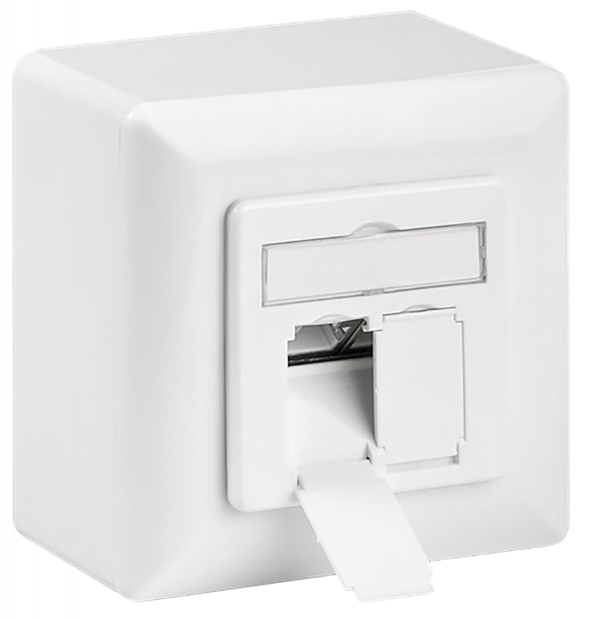Netzwerkdose, Aufputz, CAT 6, 2x RJ45